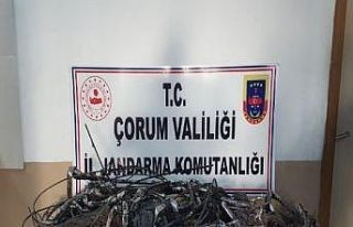 Çorum’da kablo hırsızları suçüstü yakalandı