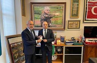 Cumhurbaşkanı Başdanışmanı Yalçın Topçu:...