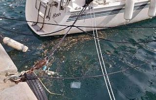 Datça’da deniz yüzeyindeki kirlilik göze çarpıyor