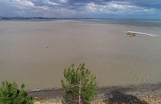 Denizde organik kirlilik