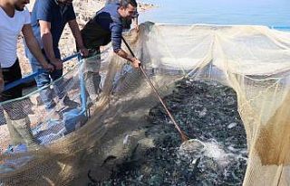 Denize kıyısı olamayan kentten Türkiye’ye yıllık...