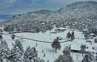 Denizli Teleferik ve Bağbaşı Yaylası yeniden beyaza...