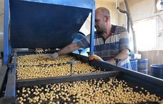 Denizli’de leblebi ve kuruyemişçiler için yeni...
