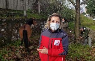 Depremde hayat kurtaran kahraman bir canı daha kurtardı