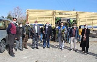 Develi’de 30 bin fidan dağıtıldı