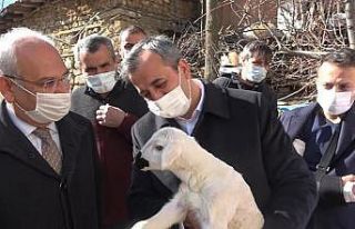 Devletten köylüye tam destek: Proje sayesinde ‘sürü’...