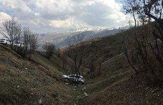 Direksiyon hakimiyetini kaybeden otomobil şarampole...