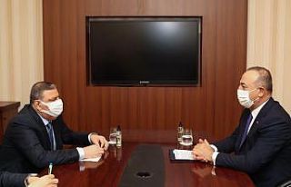 Dışişleri Bakanı Çavuşoğlu, Katar emiri Hamad...