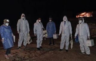 Diyarbakır’da bir mezra, mutasyonlu virüs nedeni...