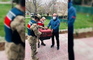 Diyarbakır’da Mehmetçik yaralı atmacaya kol kanat...