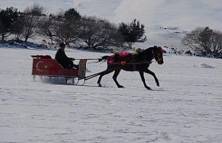 Doğunun incisi Çıldır Gölü’nde atlı kızakla...