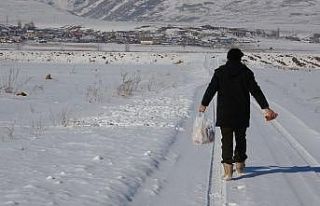 Doktora öğrencisi yabani hayvanlar için doğaya...