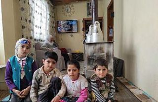 Dolandırıcılar 260 bin lira değerindeki büyükbaş...