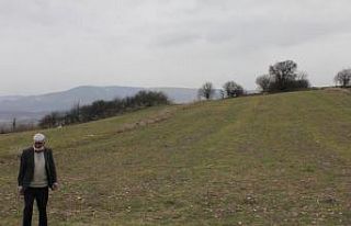 Domaniç’te höyük olduğu iddia edilen alan araştırılacak