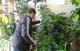 Düğün salonlarının açılması en çok çiçekçileri...