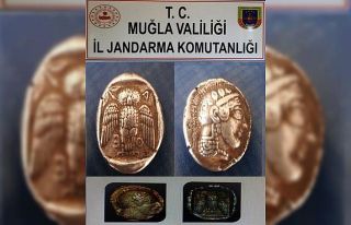 Dünyada 42 adet var, piyasa değeri 1 milyon dolar