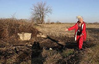 Edirne’de kan donduran vahşet