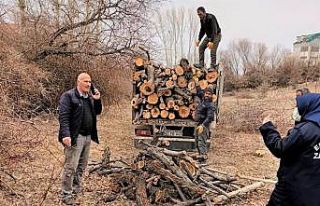 Edremit Belediyesinden izinsiz ağaç kesenlere ceza
