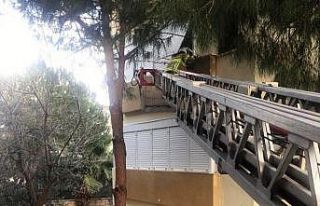 Edremit’te jandarmadan kedi kurtarma operasyonu