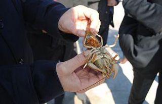 Eğirdir Gölü’nde kaçak avlanan 250 kilo kerevit...