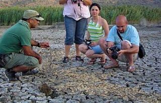 EKODOST’DAN ’su’ uyarısı