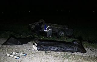 Elektrik direğine çarpan otomobil tarlaya devrildi:...
