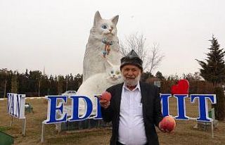 ‘Elmacı Dede’ Mehmetçik için bin 614 kilometre...