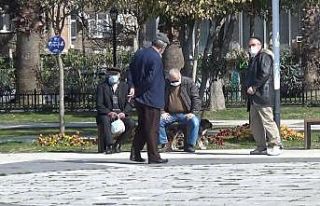 En yaşlı il Sinop’ta yaşlıların enerjileri...