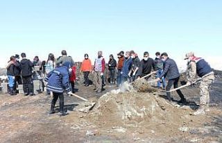 Erciş’te sokak hayvanları sıcak yuvalarına kavuştu