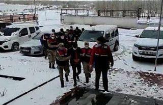 Erciş’teki tefecilik operasyonunda 5 kişi tutuklandı