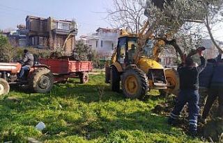 Erdek yeşile sahip çıkıyor