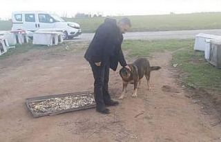 Ergene’de sokak hayvanları unutulmuyor