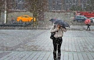 Erzincan’da dolu yağışı etkili oldu