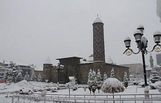 Erzurum’a Mart karı