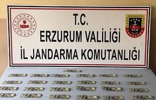 Erzurum’da 2 bin 500 sahte dolar ele geçirildi
