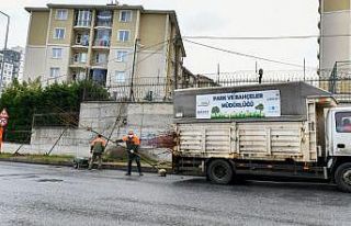 Esenyurt’a ıhlamur ve akasya ağaçları dikildi