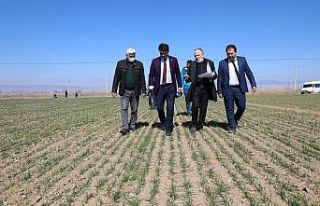 Eskişehir’de 20 çeşit yerli ve milli tohum deneme...