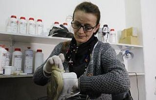 Eskiyen ayakkabı ve çantalar yenilemek için diş...