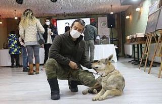 Evcilleştirdiği kurdu salonda sergiledi