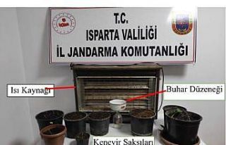 Evinde yapay ısı, ışık düzeneğiyle kenevir...