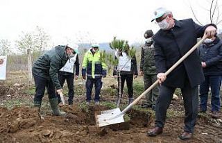 Fatsa’da 160 fidan toprakla buluştu