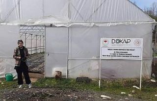 Fatsa’da örtü altı çilek yetiştiriciliği yaygınlaşıyor