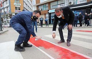 Fatsa’da trafikte yaya önceliği için ‘kırmızı...