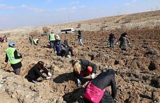 Fidanlar kadınlar için toprakla buluştu
