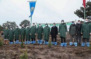 Fidanlar toprakla buluştu