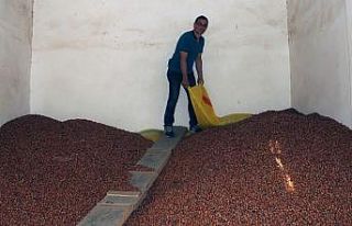 Fındık fiyatı haftayı düşüşle kapattı