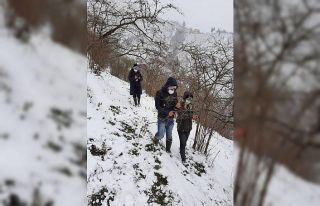 Fındıkta zirai don tespiti için çalışma başlatıldı