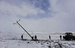 Fırtına enerji nakil hatlarına zarar verdi