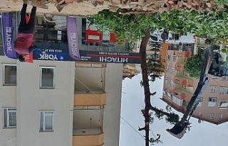 Fırtınada caretta carettalar sahile vurdu