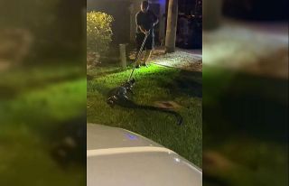 Florida’da evin garajında timsah bulundu